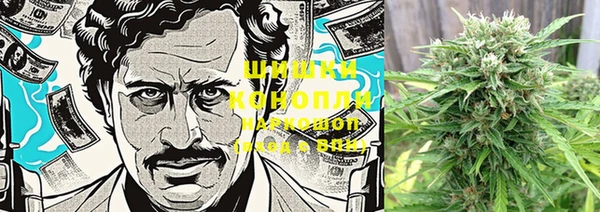 мескалин Новозыбков