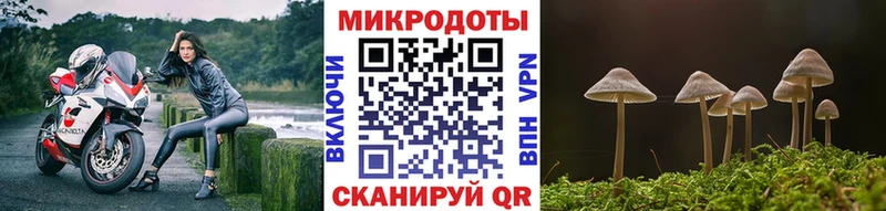 Псилоцибиновые грибы Psilocybe  даркнет сайт  Приволжск 